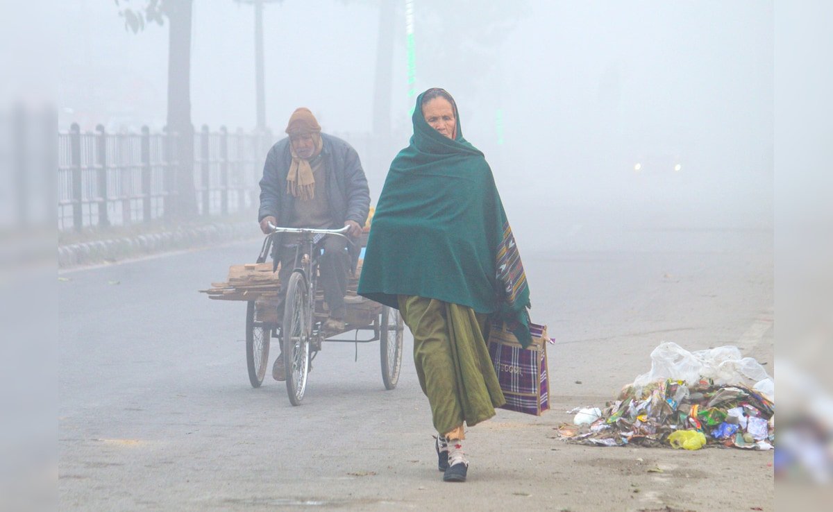 फरवरी में गर्मी का अहसास, दिल्ली-NCR में बढ़ने लगा तापमान, जानें आनेवाले दिनों में कैसा रहेगा मौसम