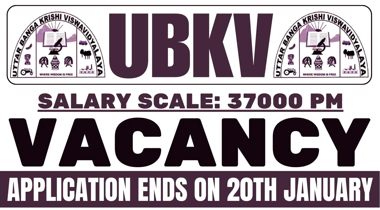 UBKV Vacancy 2025: Online Application Ends on 20th January, Apply Now