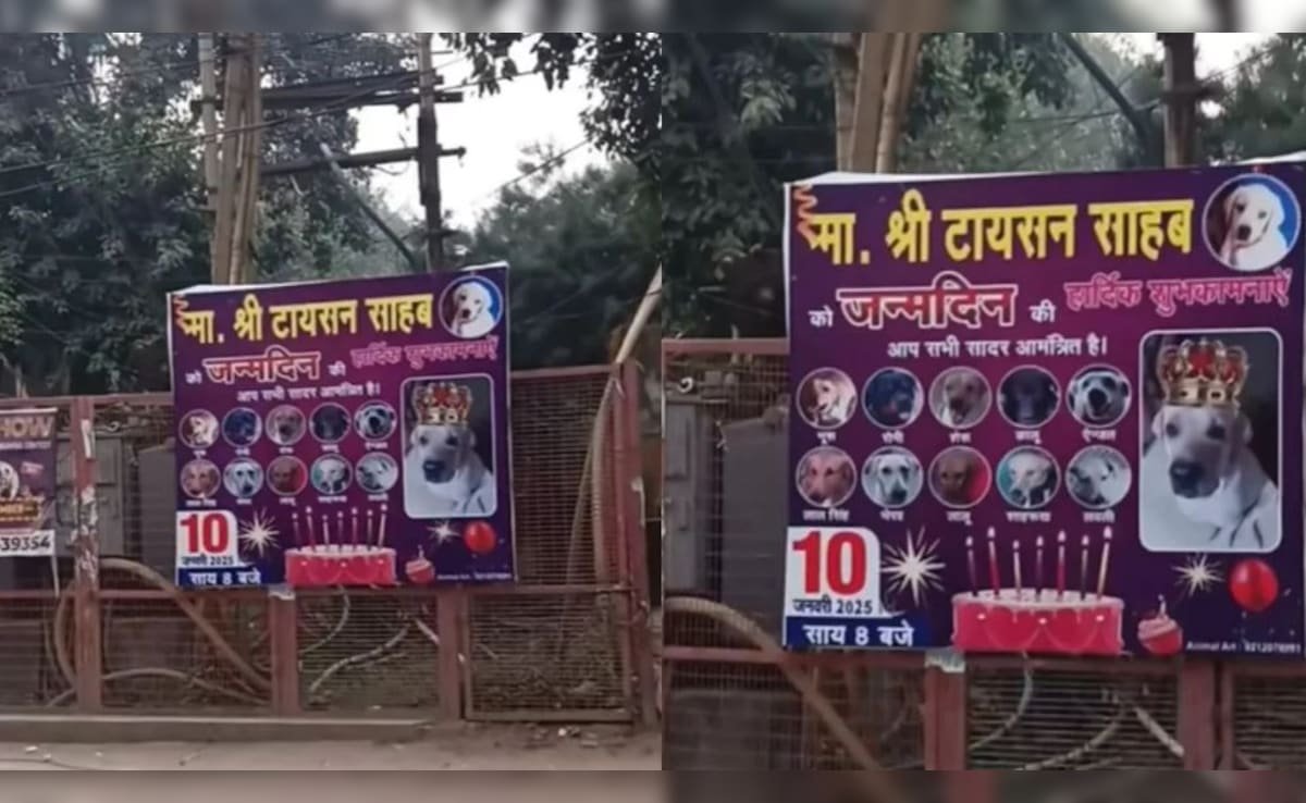 डॉगी के बर्थडे पर पोस्टर छपवाकर लगा दिया मेन रोड पर..गली-मोहल्ले के कुत्तों को भी भेजा निमंत्रण