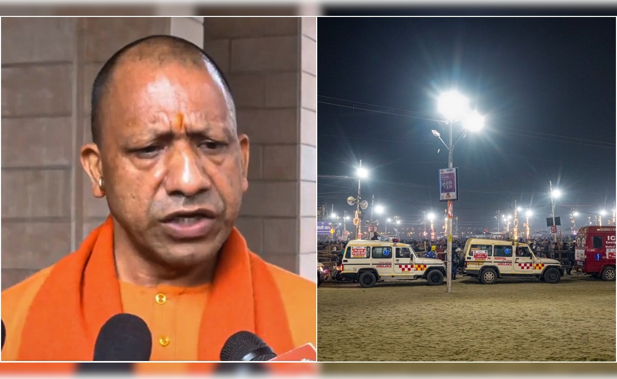 प्रयागराज में अभी 8-10 करोड़ श्रद्धालु, परंपरा के अनुसार होगा अखाड़ों का स्नान: CM योगी आदित्यनाथ