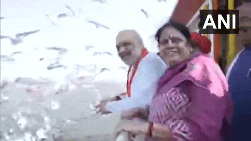 महाकुंभ 2025: गृहमंत्री अमित शाह पत्नी सोनल शाह के संग प्रवासी पक्षियों को दाना खिलाते आए नजर, देखें VIDEO