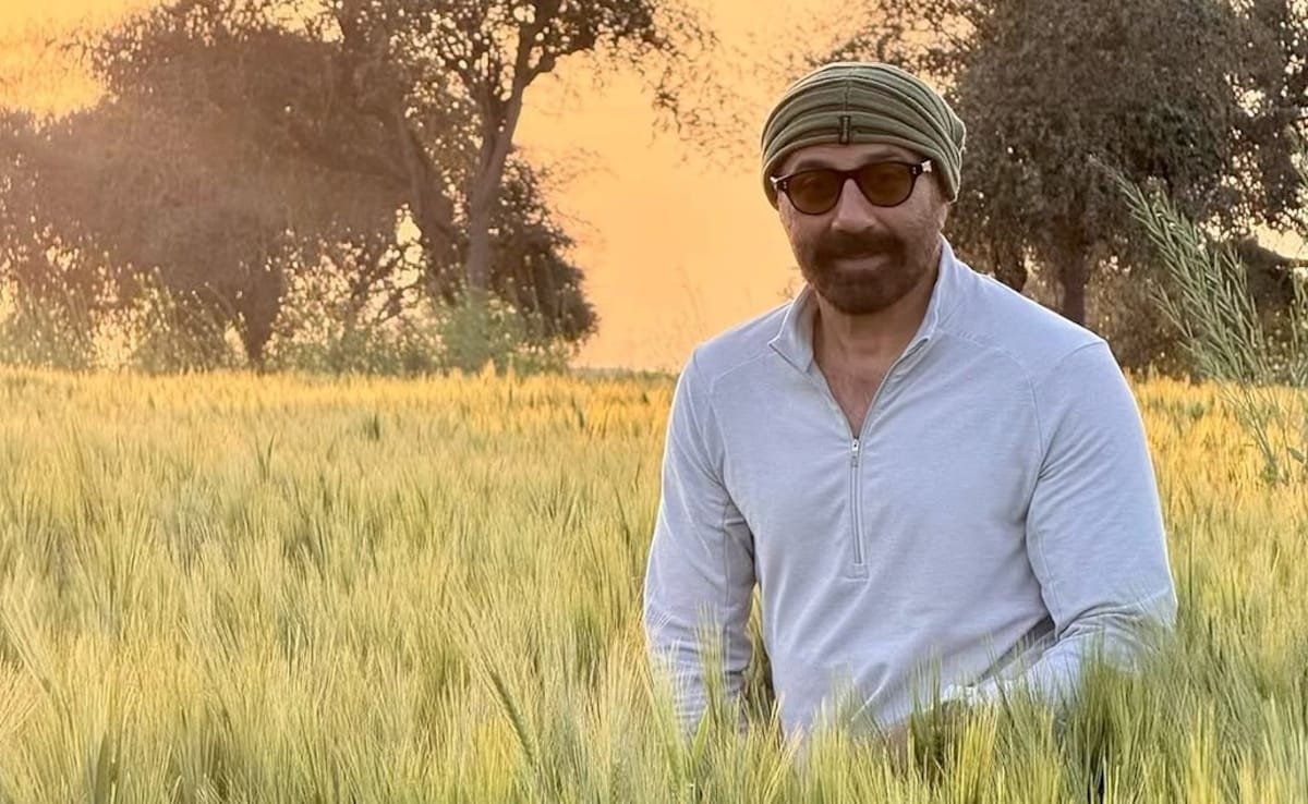 सनी देओल ने गेहूं के खेतों में बैठ खिंचवाई फोटो, फैन्स बोले- ये जाट लगाएगा सबकी वाट