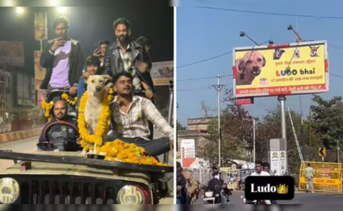 MP के इस शहर में जोरों शोरों से मना ‘लूडो भाई’ का बर्थडे, हाइवे पर लगे पोस्टर, देख लोग बोले- LUDO भाई का अलग ही भौकाल है