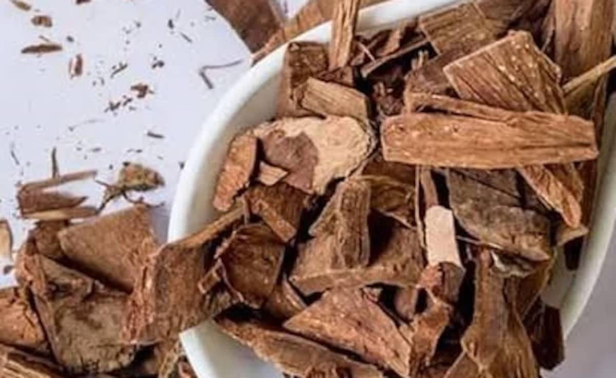 क्या सच में अर्जुन की छाल कोलेस्ट्रोल को कंट्रोल करने में मदद करती है? जानिए इसके फायदे ओर नुकसान