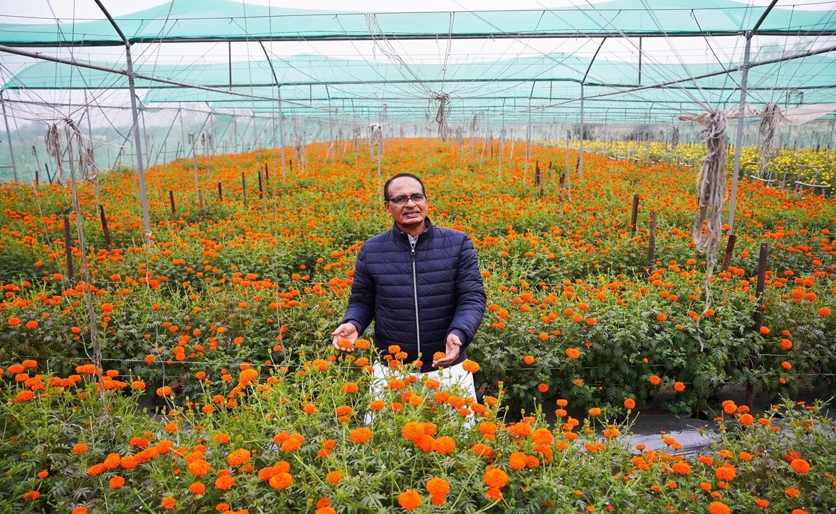मखाना बोर्ड के लिए किसानों से चर्चा करेंगे शिवराज सिंह चौहान, पीएम मोदी के दरभंगा दौरे की तैयारियों का ले रहे जायजा