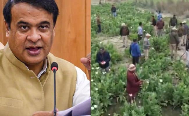 “Sorry To Spoil Udta Assam Party”: Himanta Sarma As Poppy Farms Destroyed