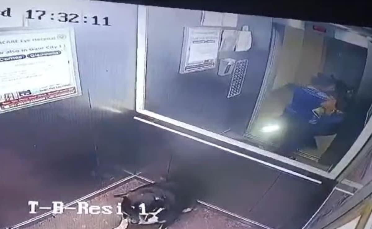 ग्रेटर नोएडा : बच्चे ने लिफ्ट में डॉगी को लाने से किया मना तो महिला ने बेरहमी से पीटा